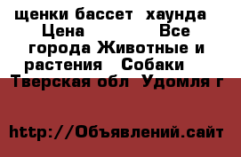 щенки бассет- хаунда › Цена ­ 20 000 - Все города Животные и растения » Собаки   . Тверская обл.,Удомля г.